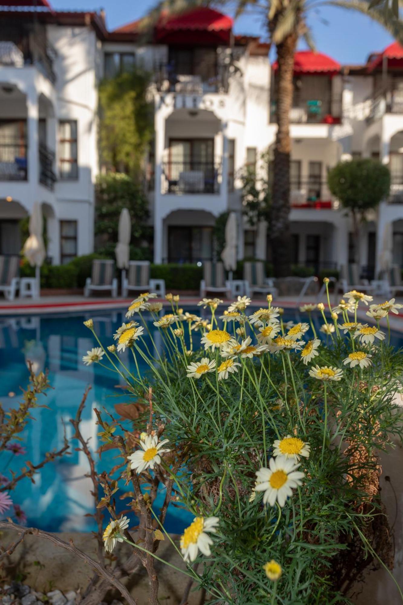 Mitos Apartments Marmaris Dış mekan fotoğraf
